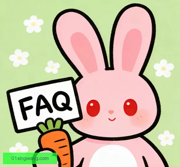 常见问题